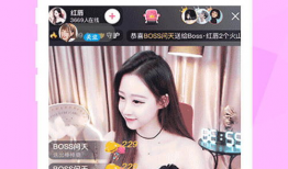 91猫咪直播,揭秘虚拟世界中的萌宠直播盛宴